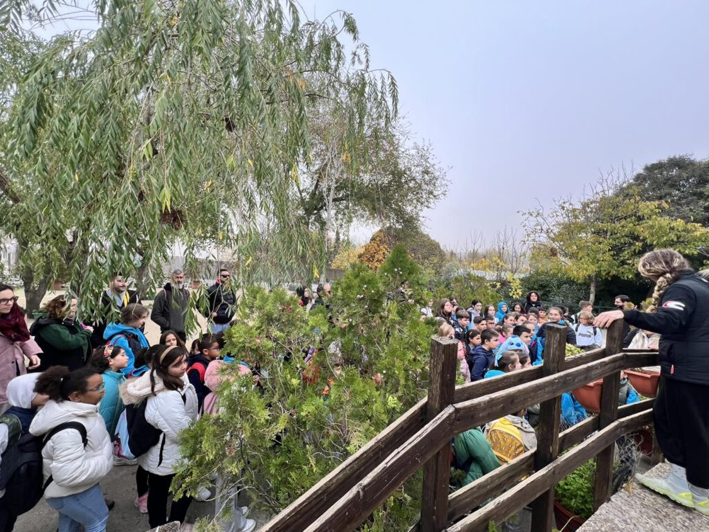 excursion niños primaria colegio tiñosa